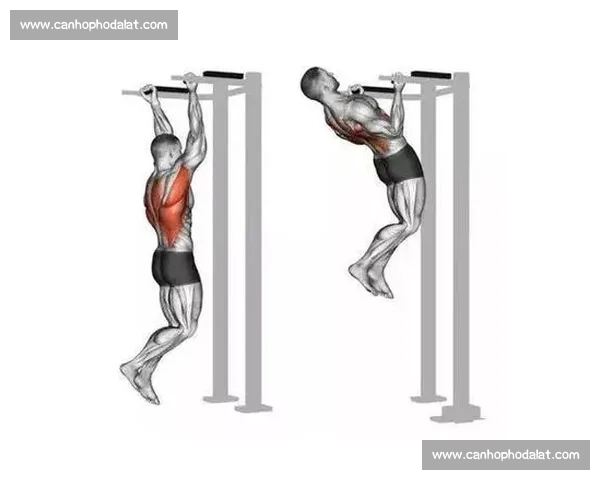 健美比赛训练全面指南塑造完美身形的科学与技巧