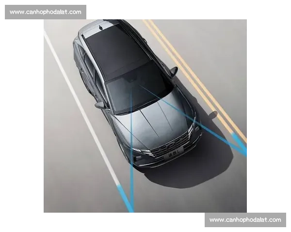 倒杆比赛的规则解析与技巧分享：从基础到进阶全方位指导