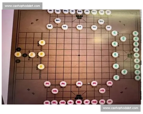 全国各地象棋比赛信息汇总以及赛事安排指南