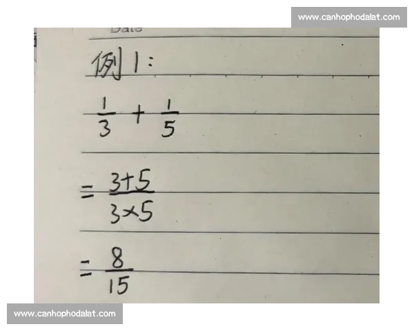 全国中小学生数学速算挑战赛精彩对决与技巧展示