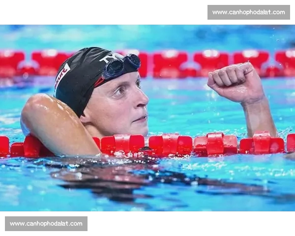 全球游泳赛精彩回顾与赛事下载资源一站式获取平台