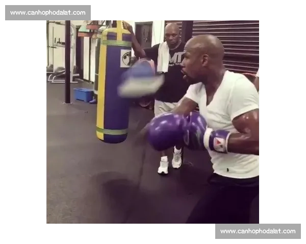 嘴炮大战梅威瑟赛场争锋精彩瞬间全程回顾