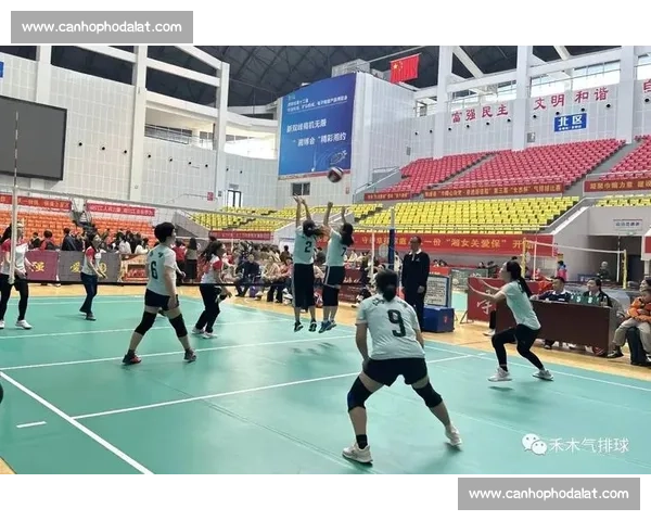 如何培养专业眼光全面欣赏排球比赛的精彩与技巧 如何培养专业眼光全面欣赏排球比赛的精彩与技巧