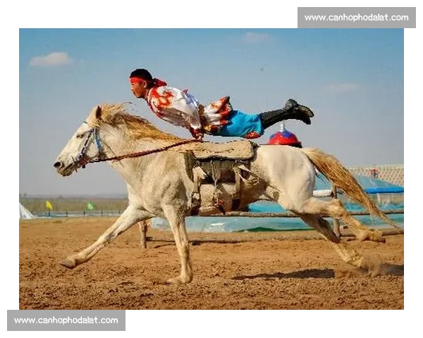 托马斯大比赛精彩纷呈 热血车轮竞速背后的团队合作与智慧较量 托马斯大比赛精彩纷呈 热血车轮竞速背后的团队合作与智慧较量