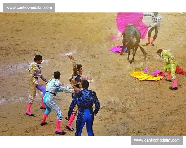 斗牛比赛现场惨剧发生选手当场死亡观众惊恐目睹血腥一幕