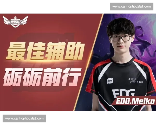 从青涩少年到电竞高手：职业生涯的成长与挑战