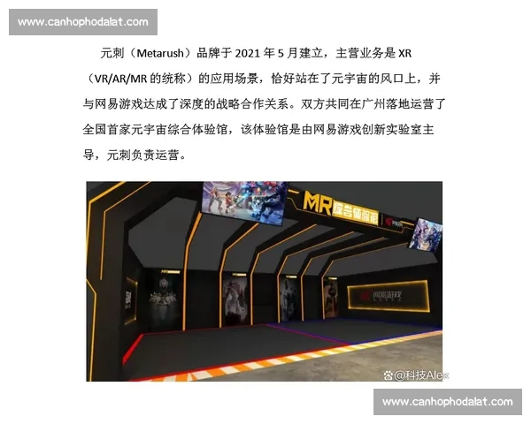 体育平台运营策略与用户增长分析探索新机遇与挑战