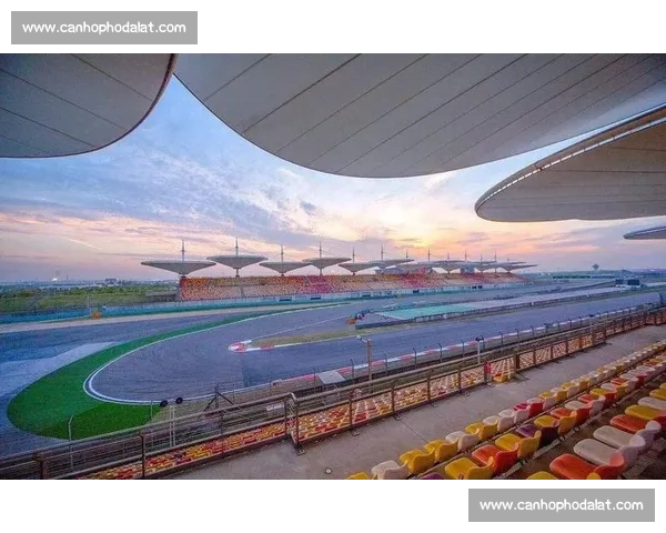 体育竞技中对抗压力的策略与心理调适研究探索