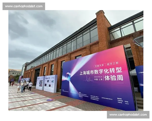 体育赛事传播模式创新与数字化转型对全球观众体验的影响分析