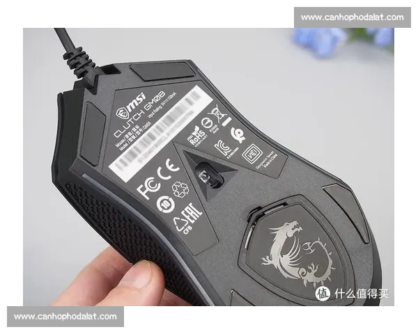 基于综合指标的职业选手电竞能力精准评估研究与应用